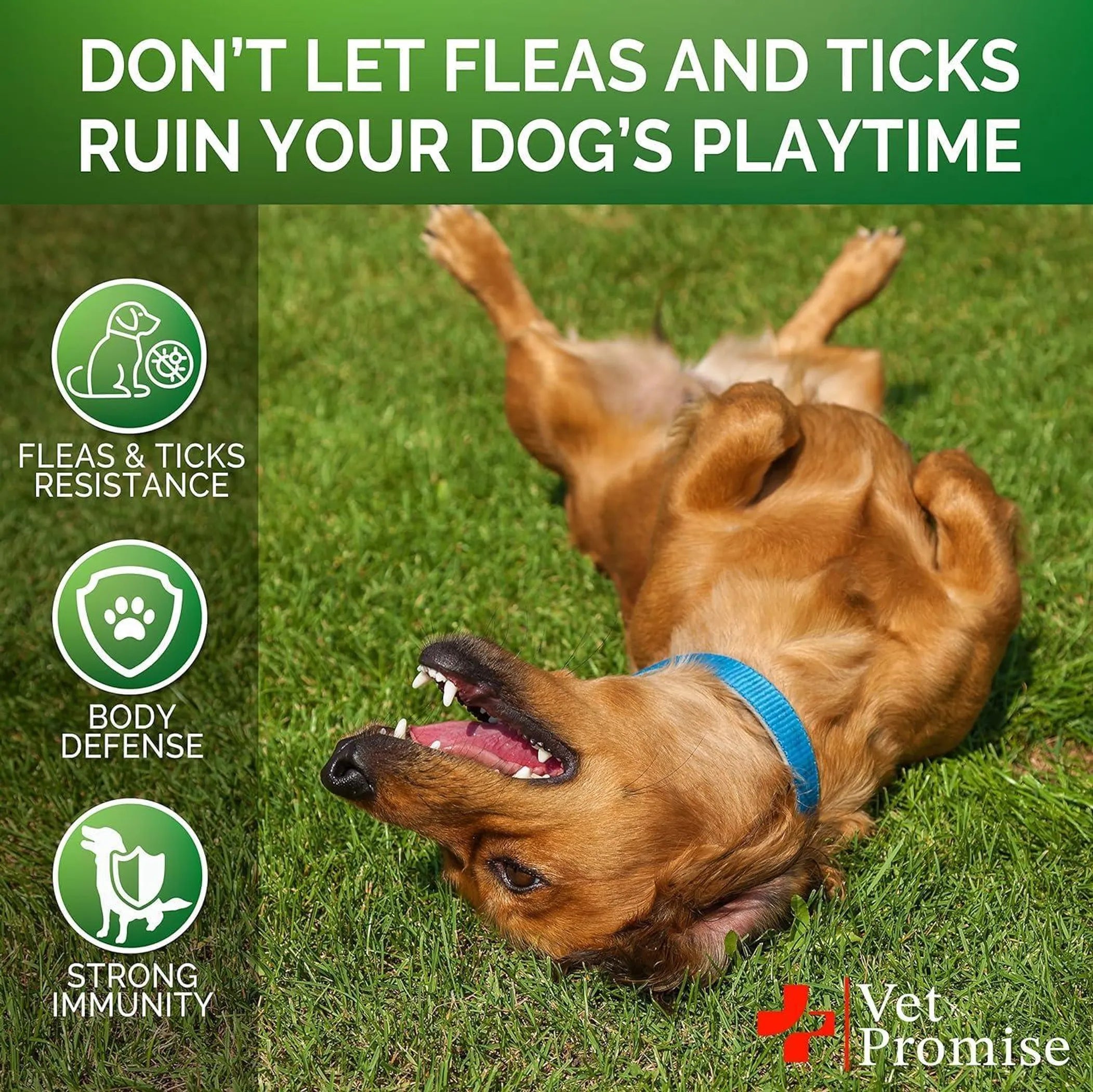 Flea and Tick Prevention for Dogs Chews Natural Dog